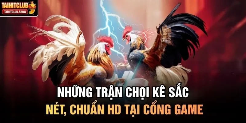 Những trận chọi kê sắc nét, chuẩn HD tại cổng game